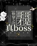 快穿之哥哥才是真boss